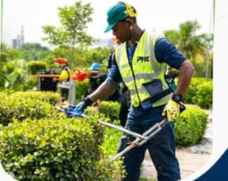 Entretien des espaces verts
